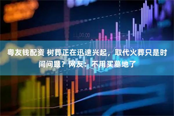粤友钱配资 树葬正在迅速兴起，取代火葬只是时间问题？网友：不用买墓地了