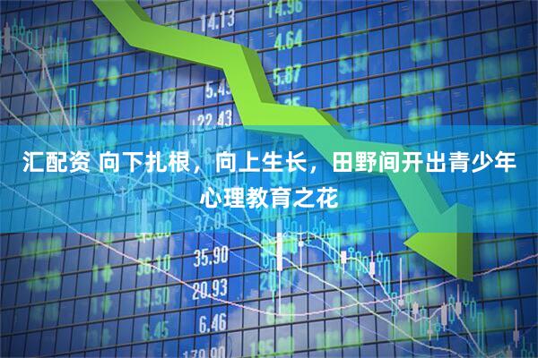 汇配资 向下扎根，向上生长，田野间开出青少年心理教育之花