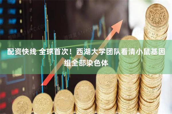配资快线 全球首次!西湖大学团队看清小鼠基因组全部染色体